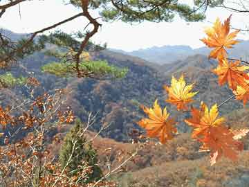 高速沿线环境治理举措，守护旅途风景线，迈向健康生活新征程